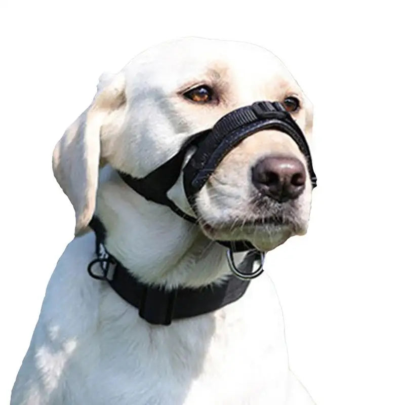 Focinheira respirável para cães para conforto, calma e segurança