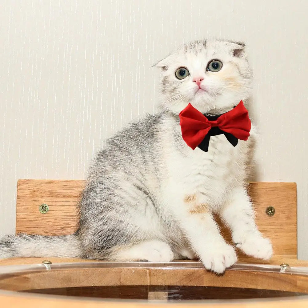 Gravata borboleta para cães e gatos – O estilo que diz “Eu te amo”
