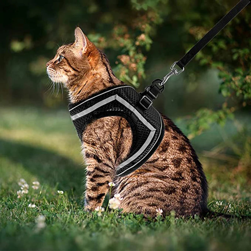 Peitoral respirável para cães e gatos pequenos, leve, seguro e visível