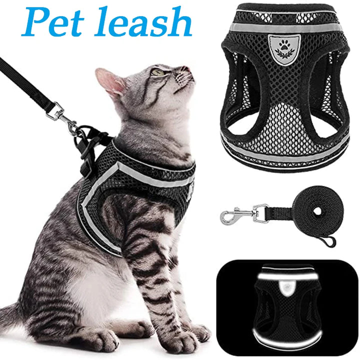 Peitoral respirável para cães e gatos pequenos, leve, seguro e visível