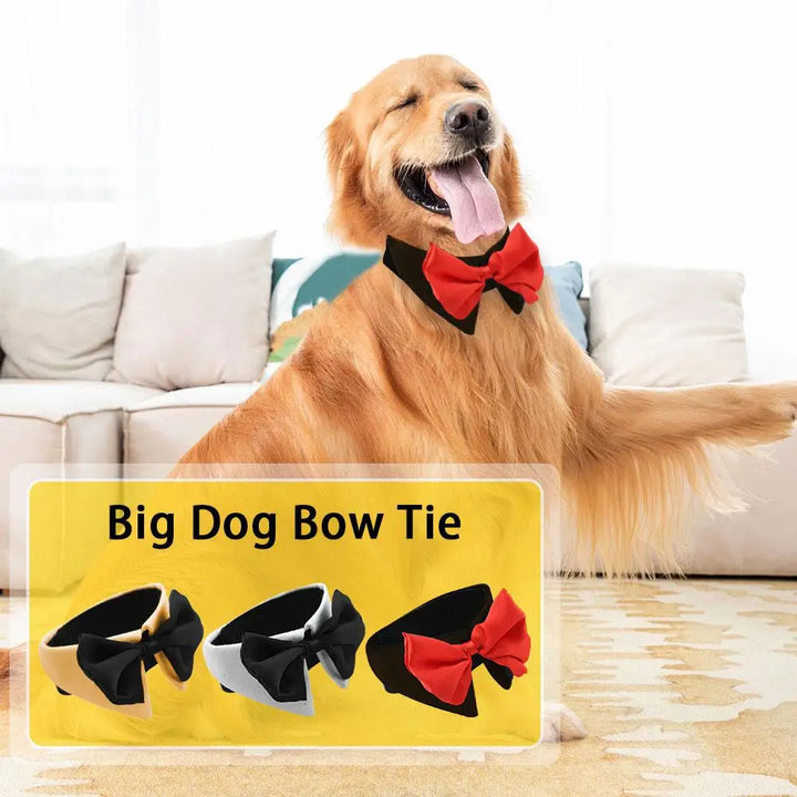Gravata borboleta para cães e gatos – O estilo que diz “Eu te amo”