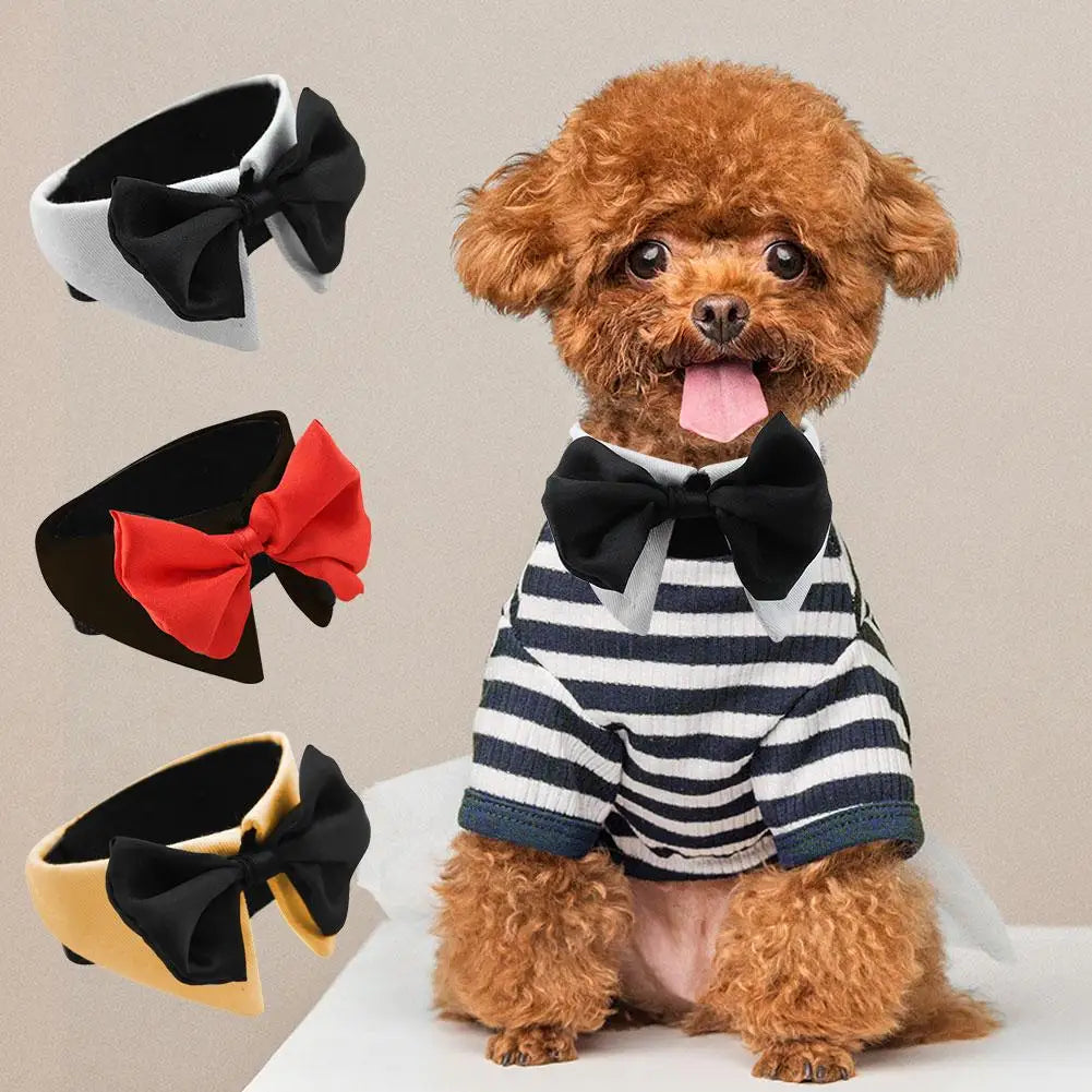 Gravata borboleta para cães e gatos – O estilo que diz “Eu te amo”