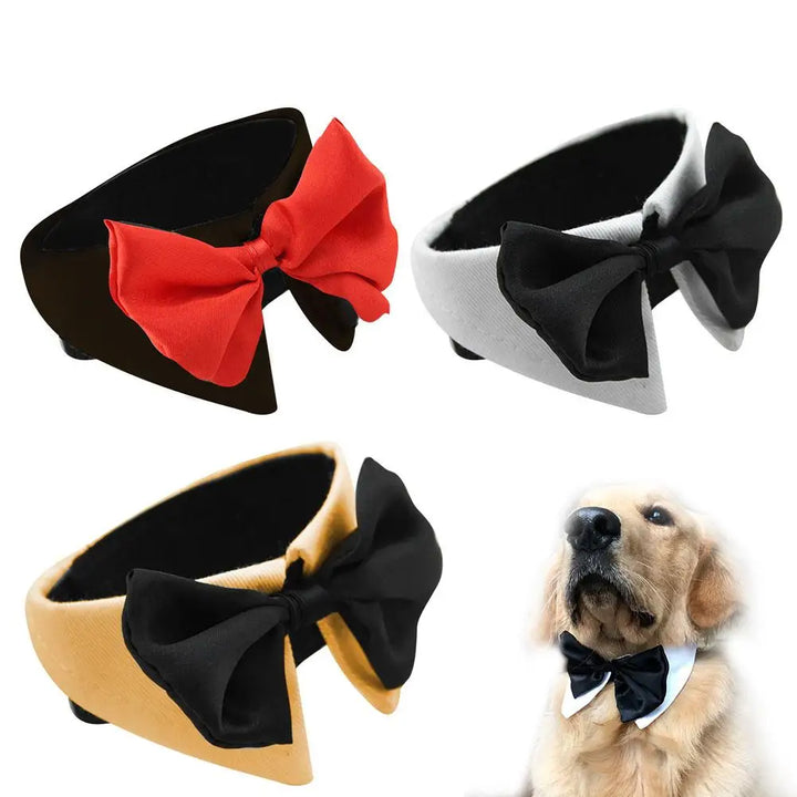 Gravata borboleta para cães e gatos – O estilo que diz “Eu te amo”