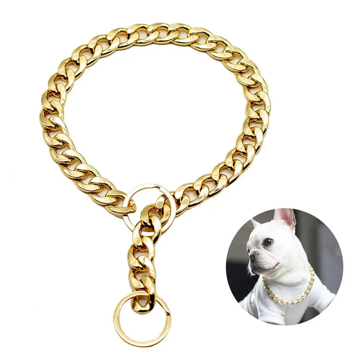 Poderosa coleira dourada para cães: discreta, imponente, feita para laços reais