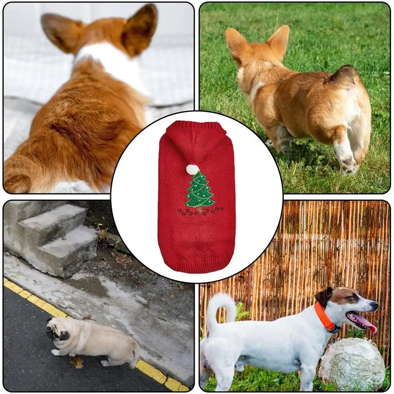 Camisola de Natal para cão com chapéu a condizer para um momento mágico