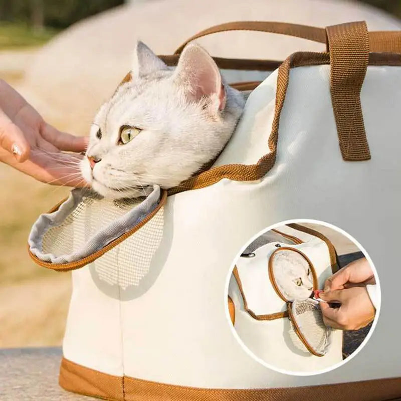 Caixa de transporte para cães e gatos do tamanho de uma cabine para passeios elegantes e delicados