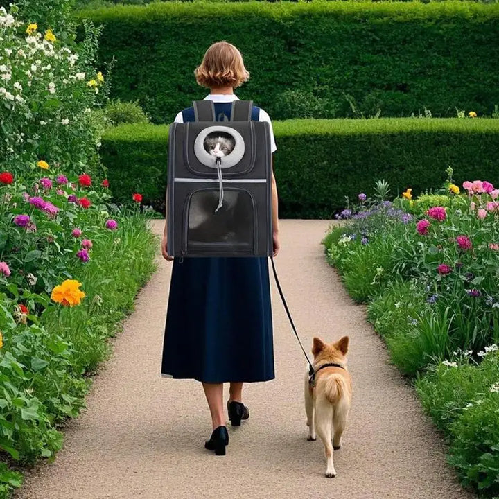 Mochila para gatos e cães pequenos: confortável, dobrável e sempre pronta para levar