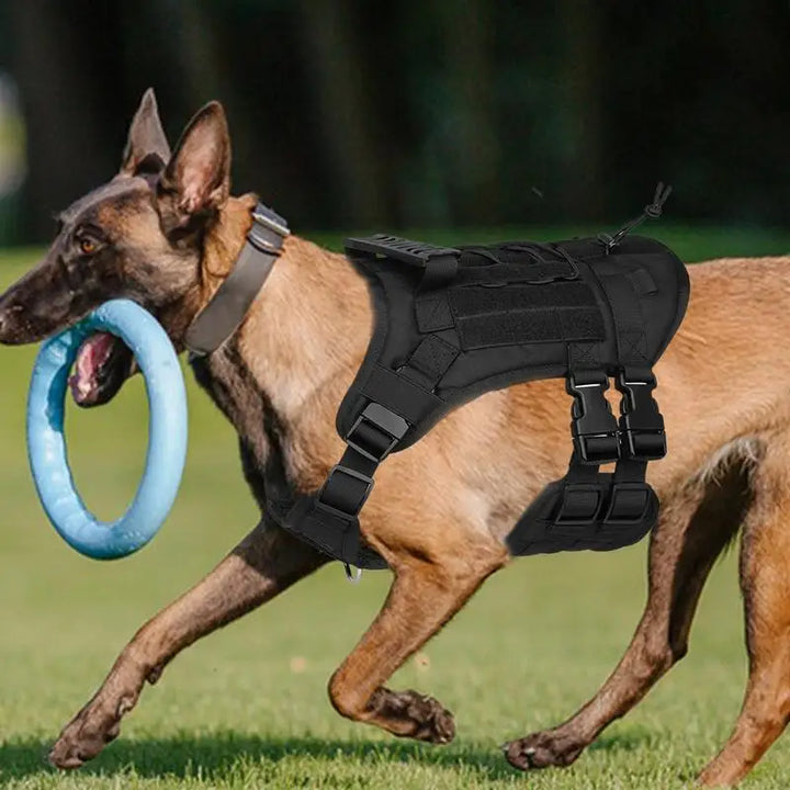 Peitoral ajustável e potente para cães – Força respeitada e liberdade guiada