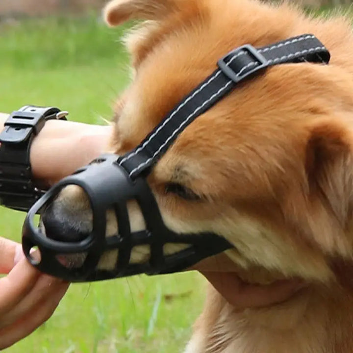 Focinho macio para cães sensíveis, amados e protegidos