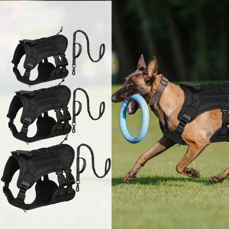 Peitoral ajustável e potente para cães – Força respeitada e liberdade guiada