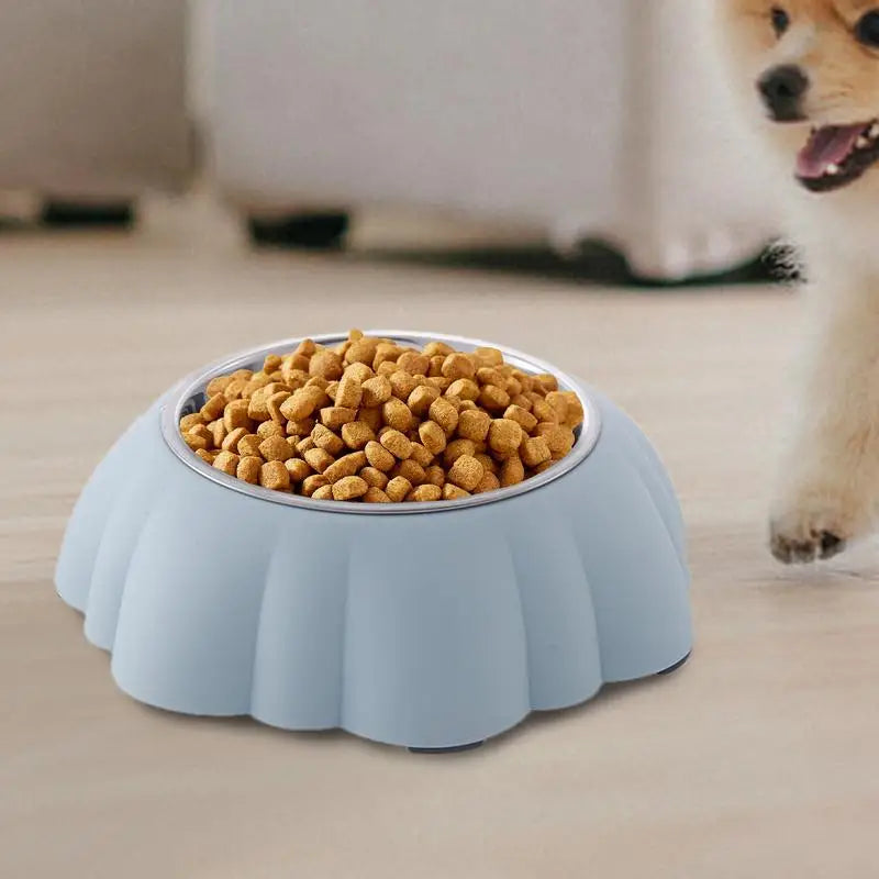Tigela inclinada para gatos – Alimentação saudável, simples