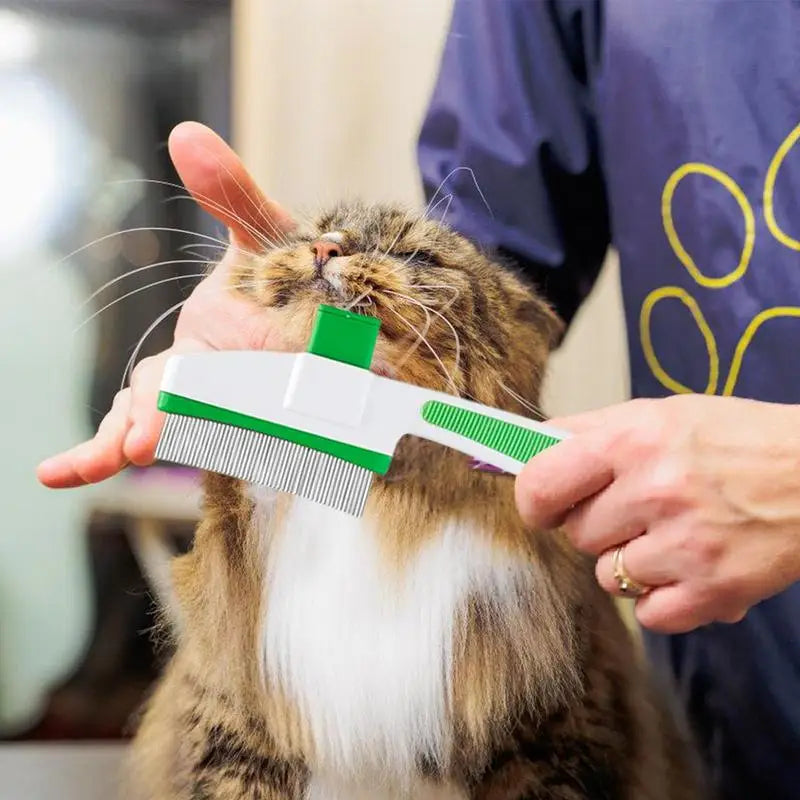 Escova para tosa de gatos: maciez, cuidado e vínculo fortalecido