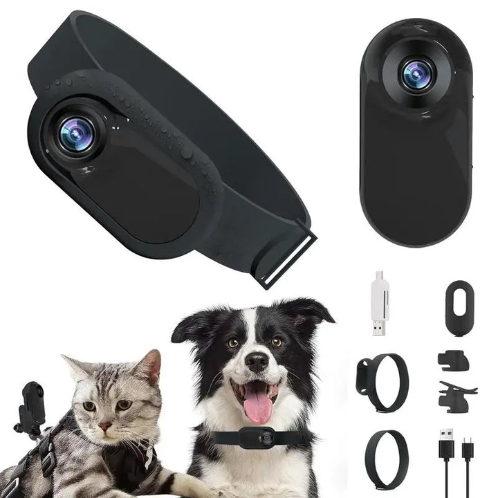 Câmera com coleira para gatos: capture suas aventuras em HD