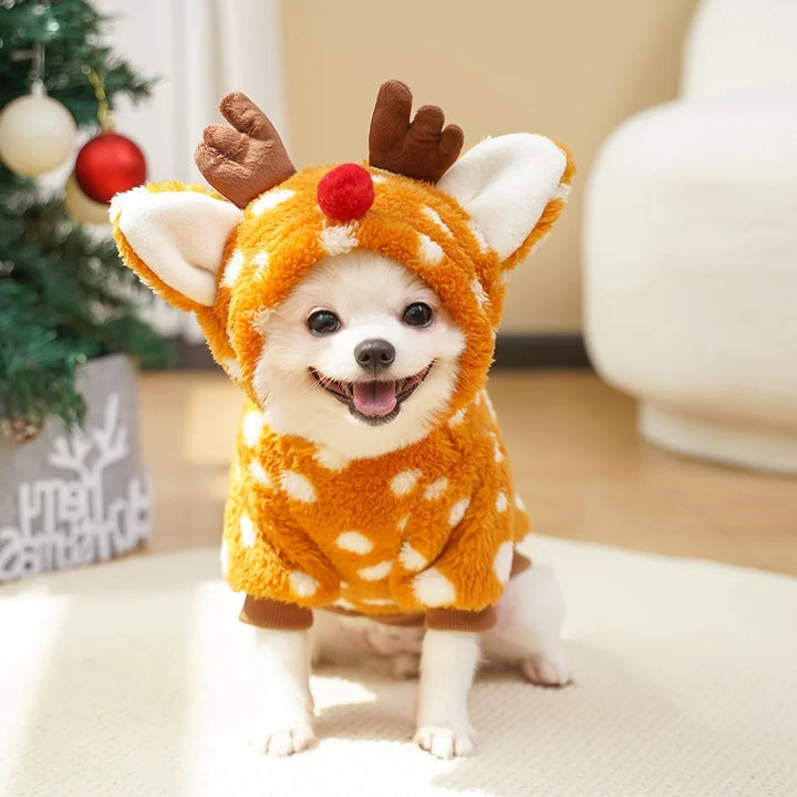 Fantasia de rena para cães: calor, maciez e fotos fofas
