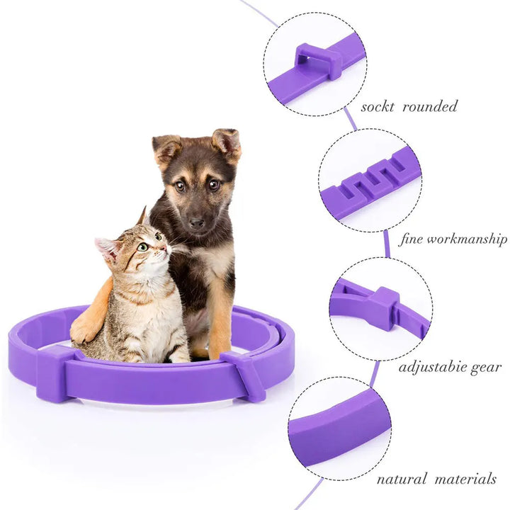 Coleira calmante para cães e gatos: a calma retorna sem dizer uma palavra