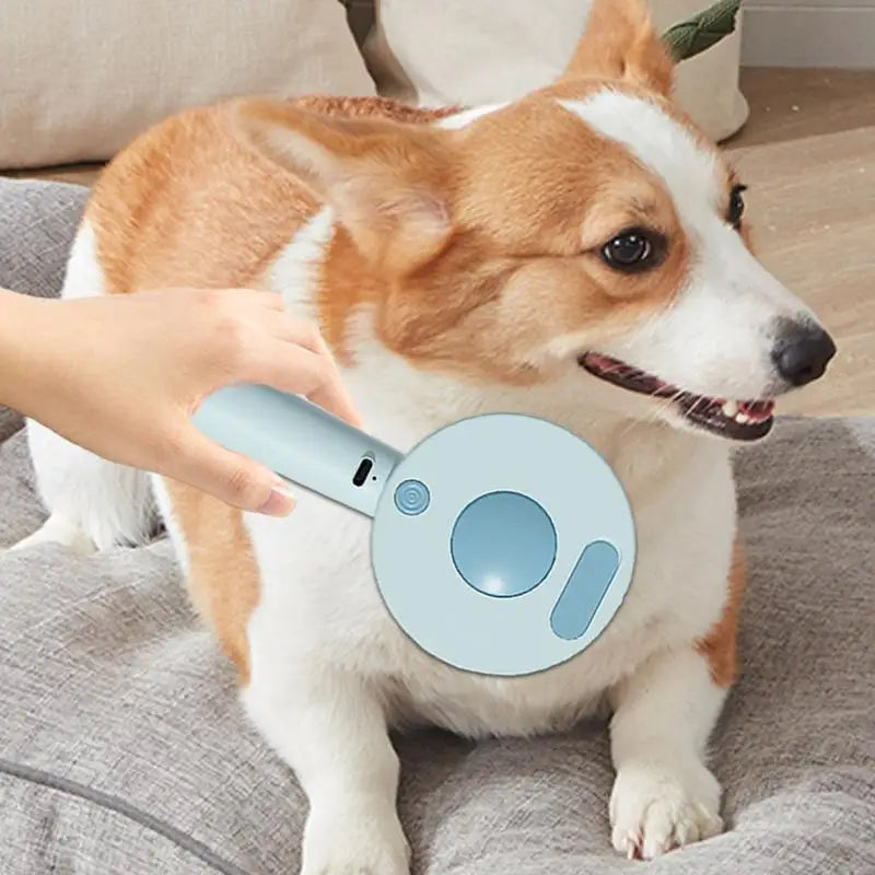 Escova a vapor para cães e gatos: a arte da limpeza transformada em ternura
