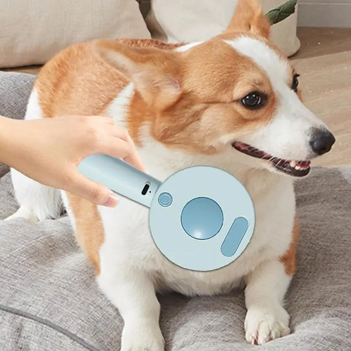 Escova a vapor para cães e gatos: a arte da limpeza transformada em ternura
