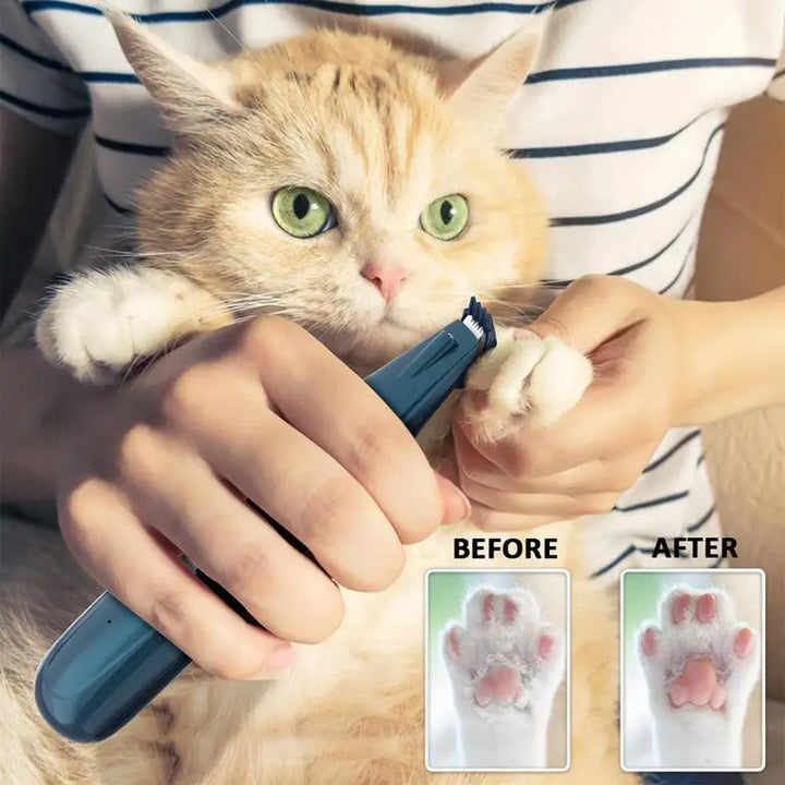 Higiene de precisão para áreas sensíveis de cães e gatos