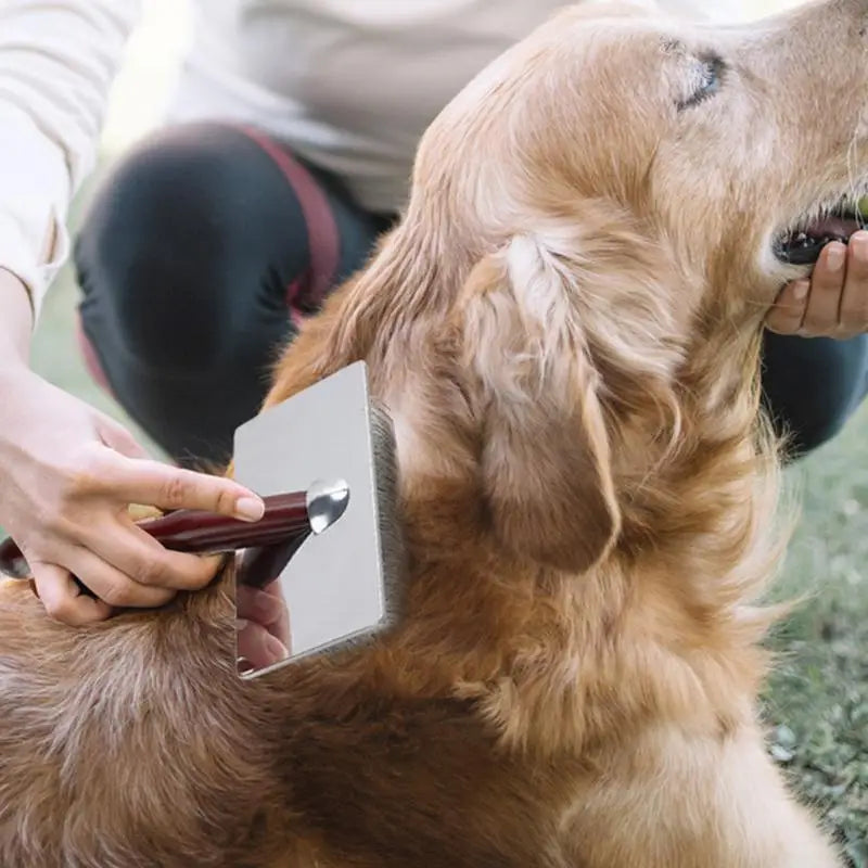 Pente de madeira para cães e gatos: cuidado calmo e amigável