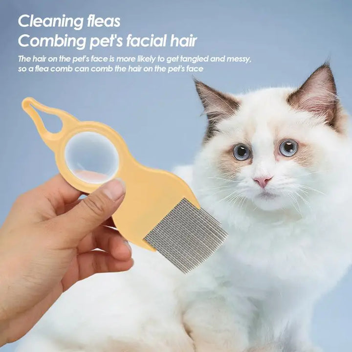 Pente para gatos com lupa integrada: veja melhor, ame mais