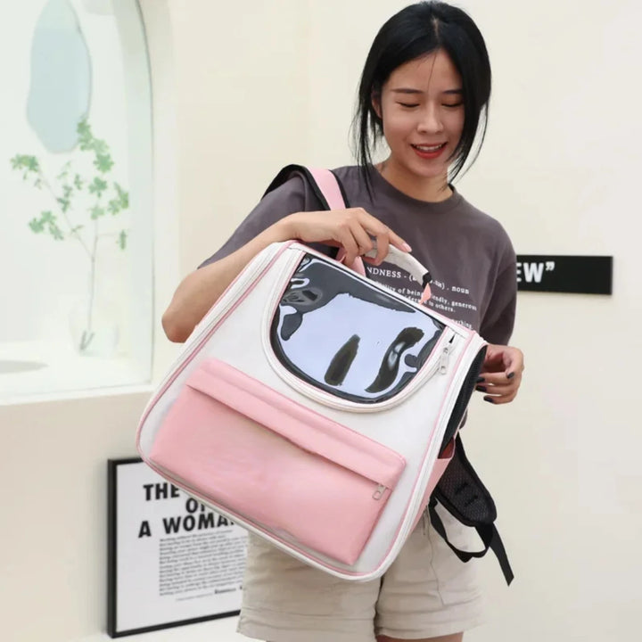Bolsa de transporte para gatos e cães pequenos: avião, conforto, liberdade