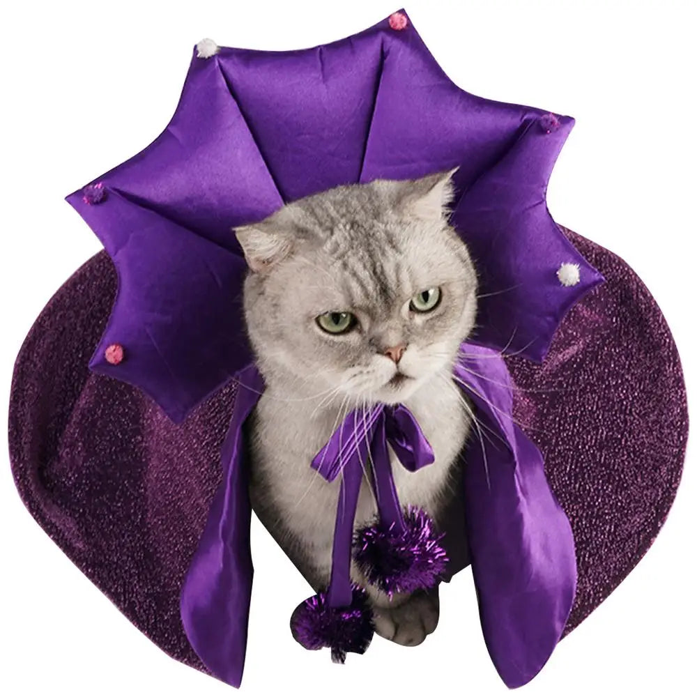 Fantasia de Bruxa para Cachorro e Gato: Leve, Brilhante e Irresistível