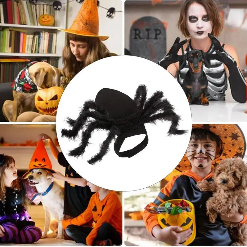 Fantasia de aranha de Halloween – para gato, filhote ou cachorro pequeno