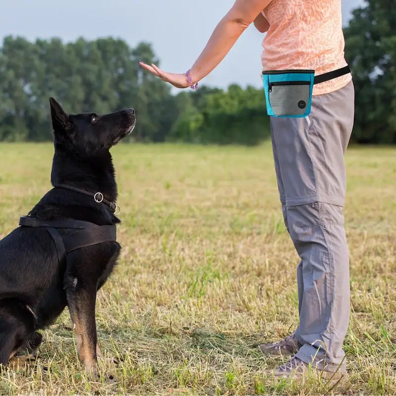 Saco de petiscos para cães: treine melhor e reaja rápido