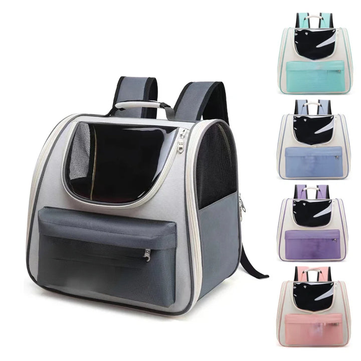 Bolsa de transporte para gatos e cães pequenos: avião, conforto, liberdade