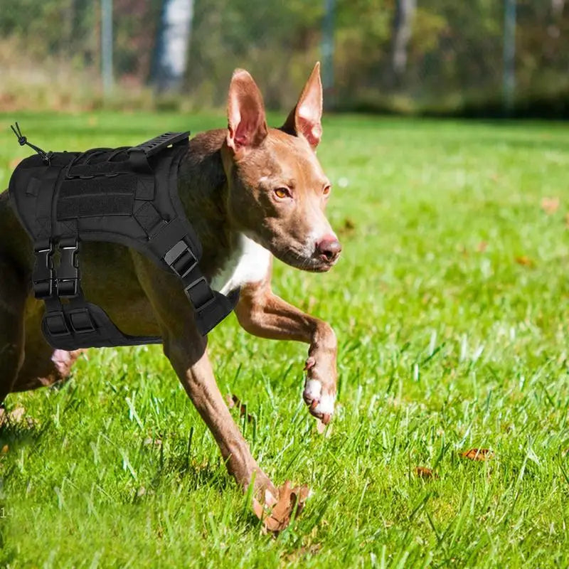 Peitoral ajustável e potente para cães – Força respeitada e liberdade guiada