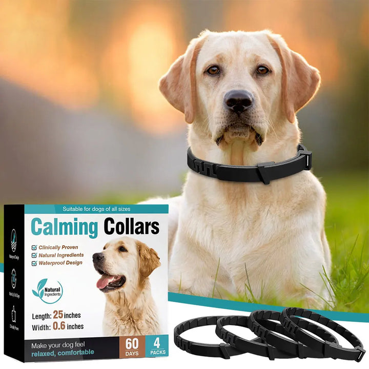 Coleira calmante para cães e gatos: a calma retorna sem dizer uma palavra
