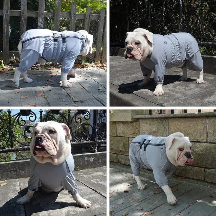 Capa de chuva 4-Paw para cães – Conforto, estilo e proteção