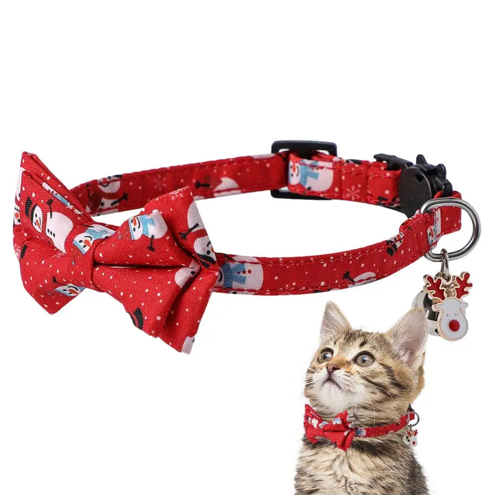 Colar de gato de Natal – Para que ele também brilhe debaixo da árvore