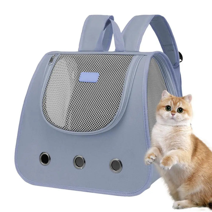 Bolsa para cães e gatos: liberdade e ternura nos passeios