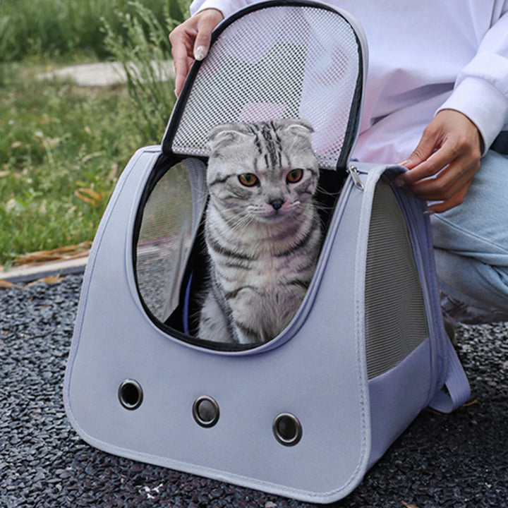 Bolsa para cães e gatos: liberdade e ternura nos passeios