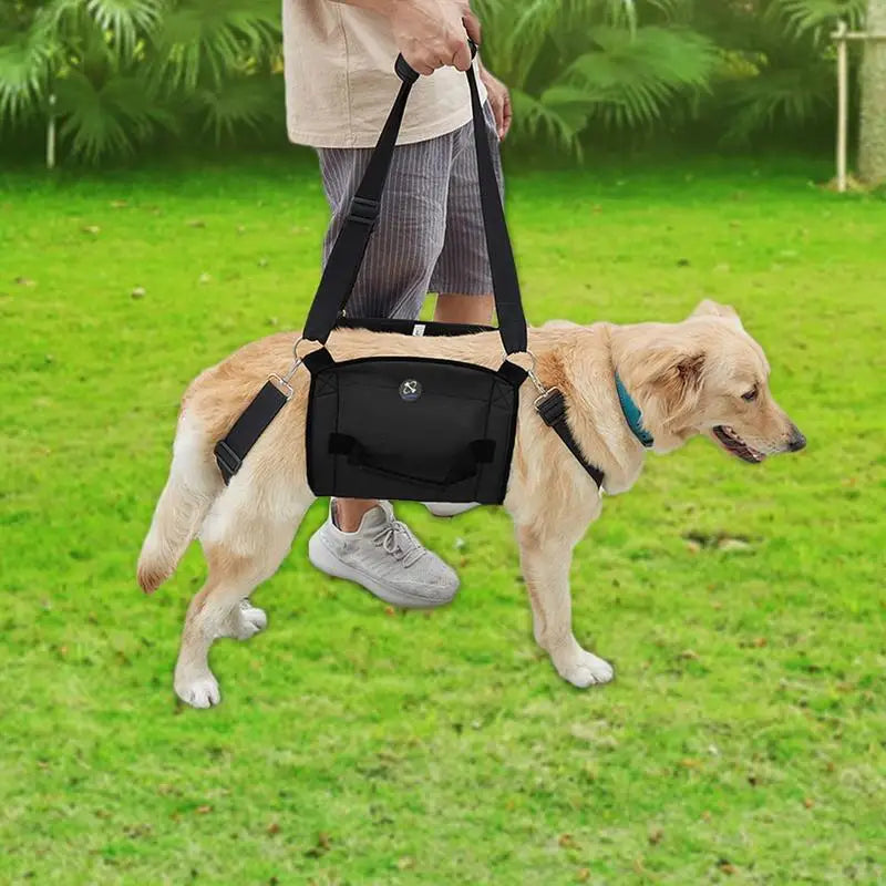 Arnês de suporte para cães: caminhando novamente, juntos