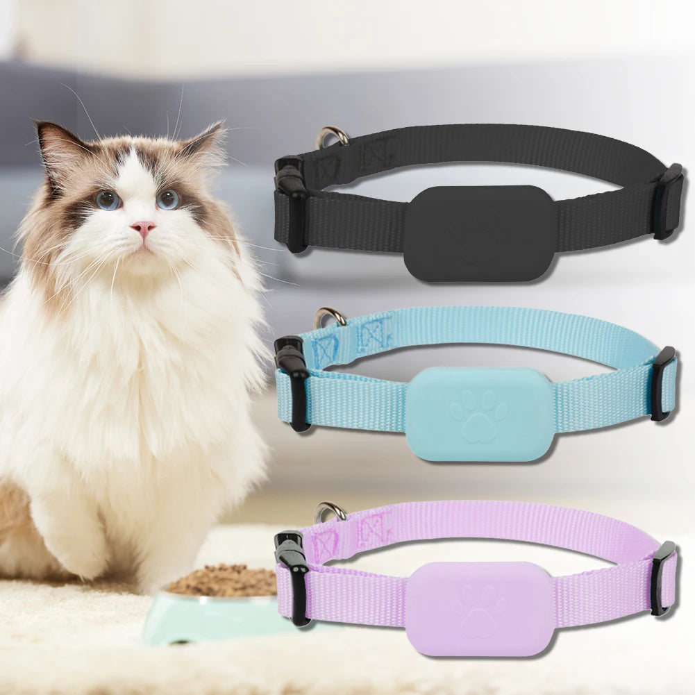Coleira GPS para cães e gatos: visível, localizável e sempre encontrável