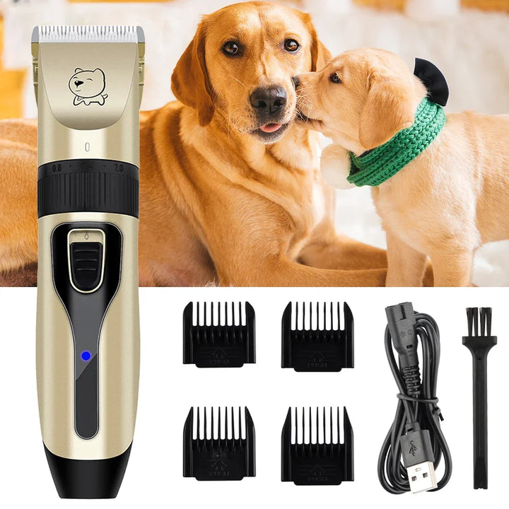 Tratamento destemido para cães e gatos sensíveis