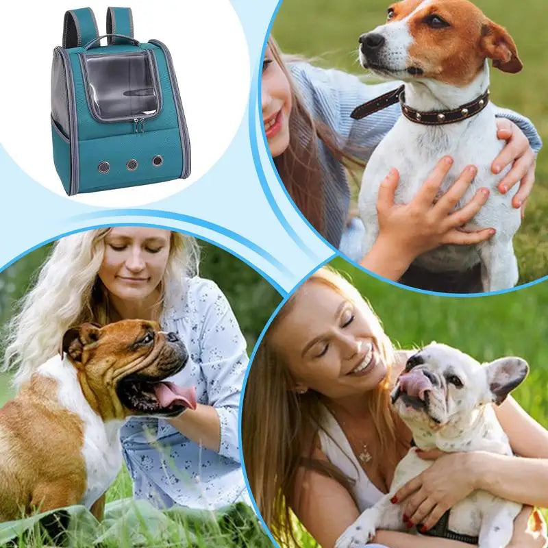 Bolsa de transporte dobrável para cães e gatos, casulo seguro e leve