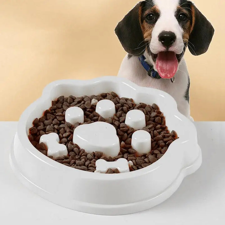 Tigela anti-glutonaria para cães – Come melhor, digere melhor