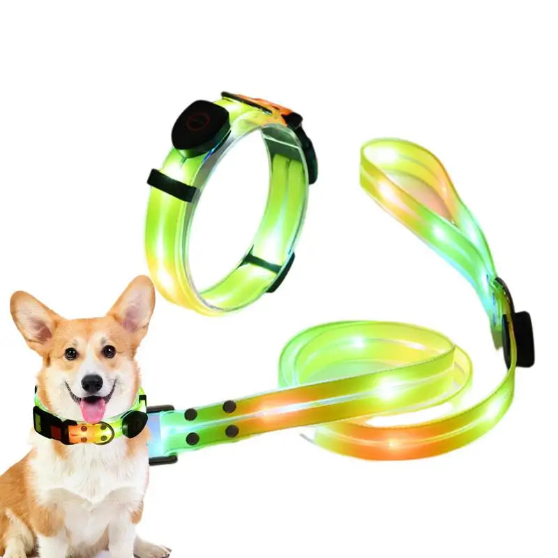 Coleira luminosa para cães: passeios noturnos seguros