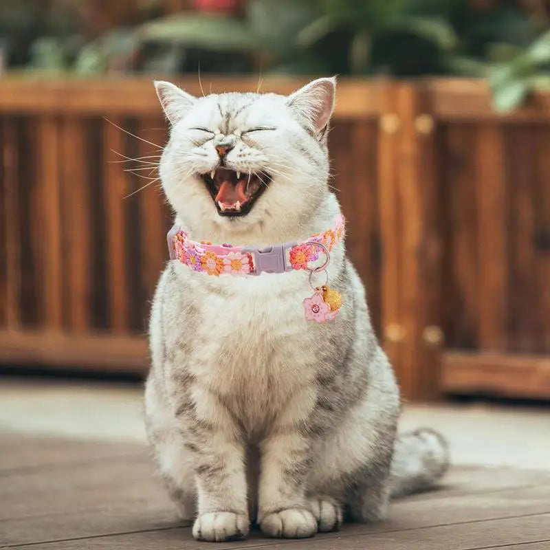 Colar de gatinho floral: ternura, estilo e cumplicidade