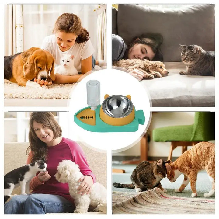 Tigela para gatos 3 em 1 – Hidratada, bem alimentada e segura