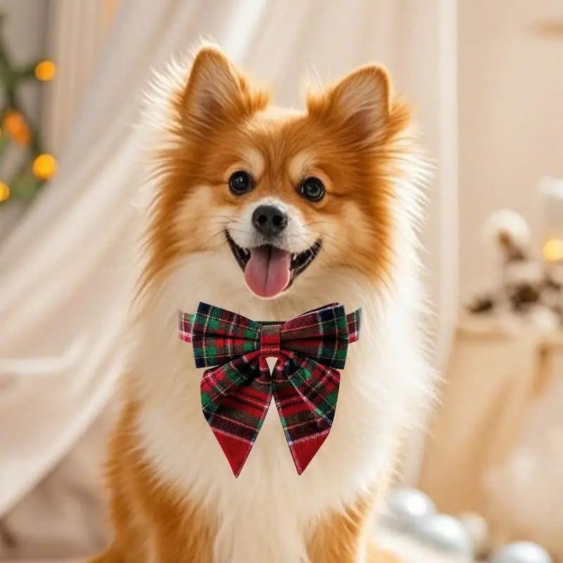 Coleira de gravata borboleta para cachorro – elegância chique do dia a dia