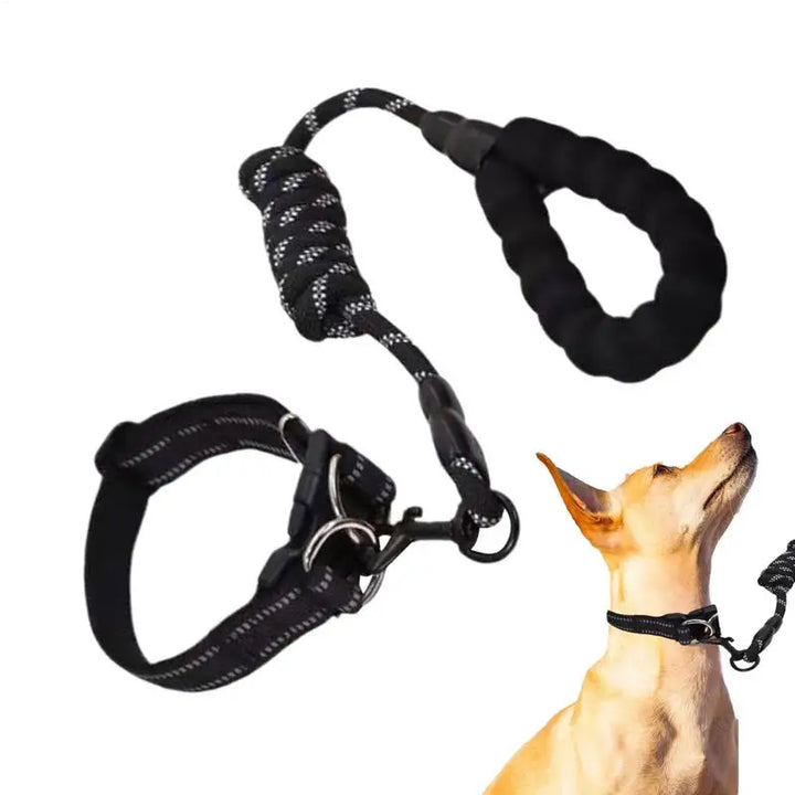 Coleira refletiva para cães – Para passeios mesmo na sombra