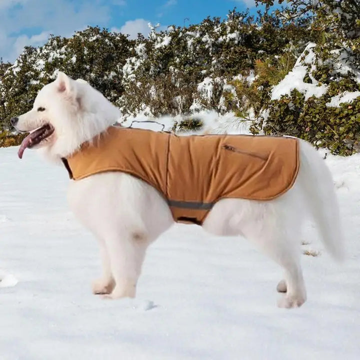 Casaco elegante de gola alta de 4 patas para cães pequenos