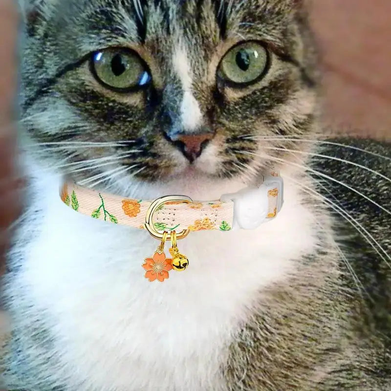Coleira floral para gatos e cães pequenos: delicada, segura e pensada como um gesto de amor