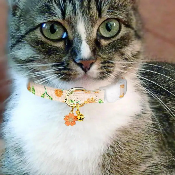 Coleira floral para gatos e cães pequenos: delicada, segura e pensada como um gesto de amor