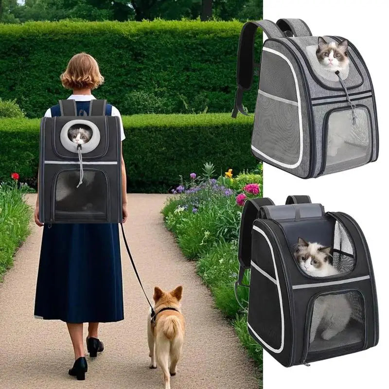 Mochila para gatos e cães pequenos: confortável, dobrável e sempre pronta para levar