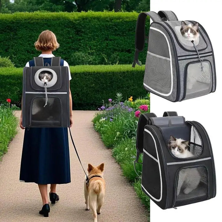 Mochila para gatos e cães pequenos: confortável, dobrável e sempre pronta para levar